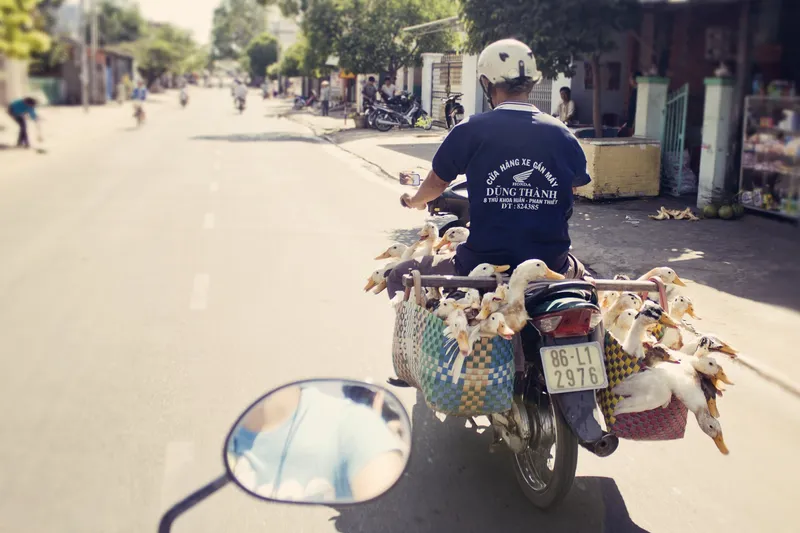 Xe máy là phương tiện di chuyển phổ biến