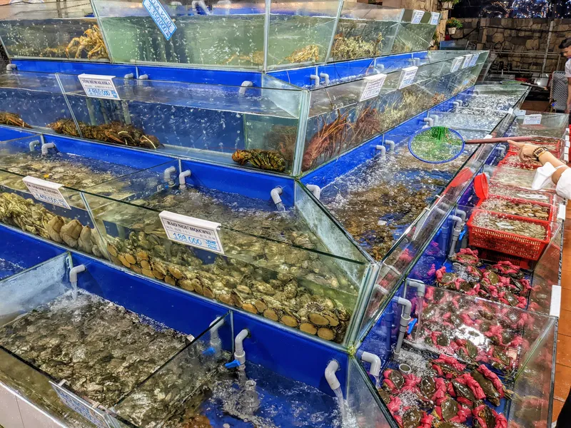 Bể hải sản tươi sống tại quán Ngọc Hương
