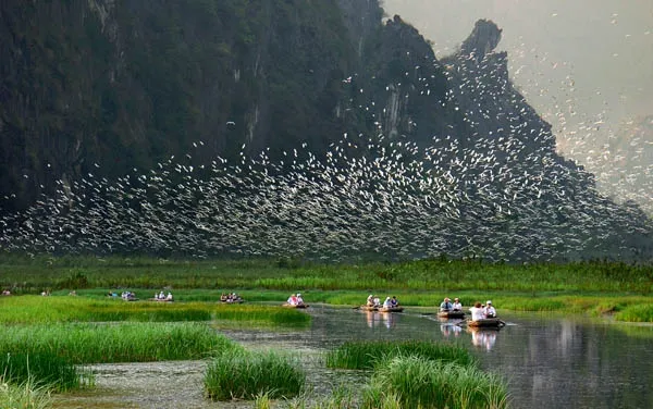 Van Long Nature Reserve