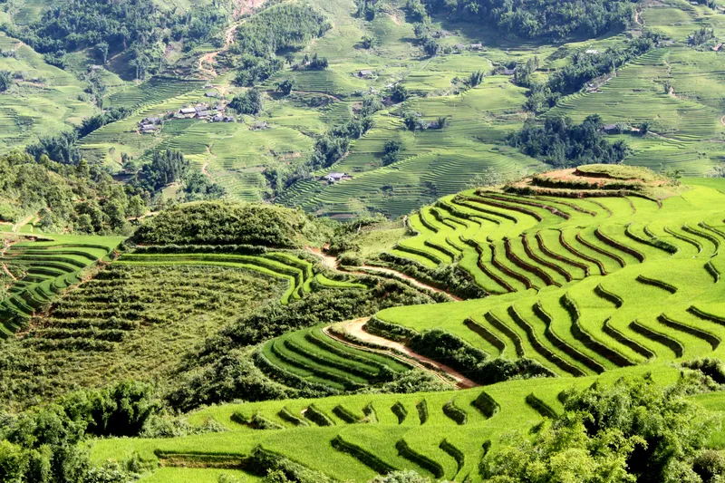 Ruộng bậc thang đặc trưng